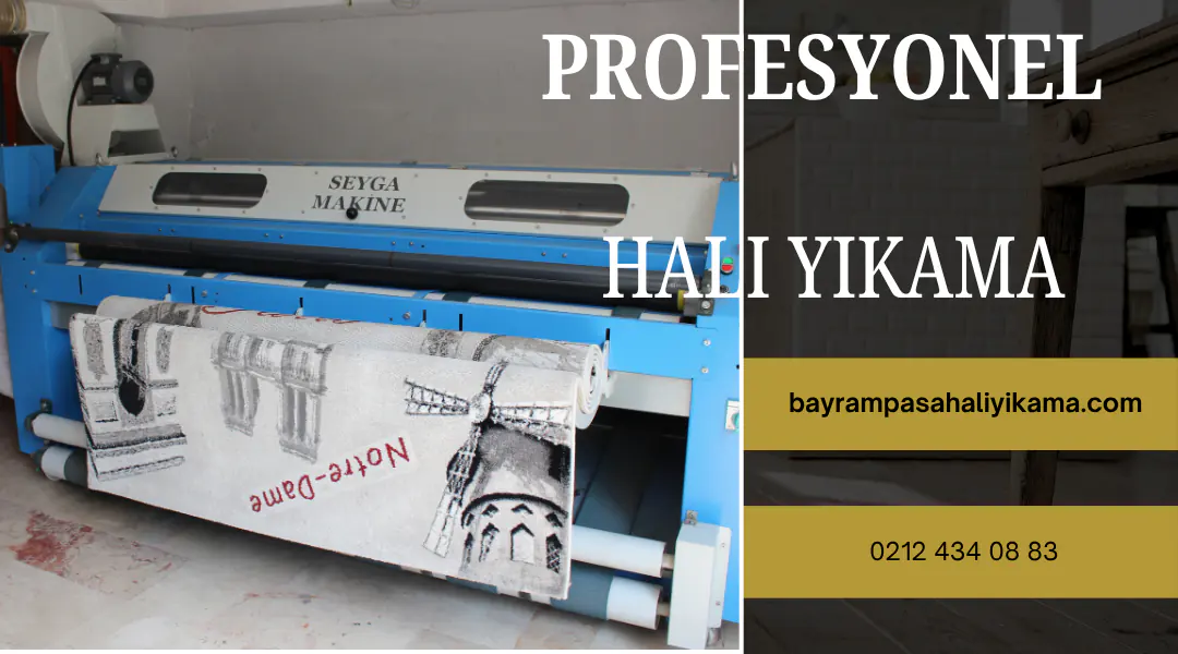 modern halı yıkama hizmeti